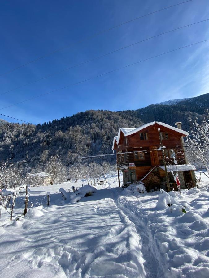 Çamdibi konaklama Rize Dış mekan fotoğraf