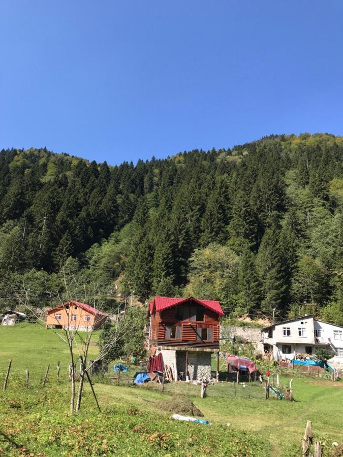 Çamdibi konaklama Rize Dış mekan fotoğraf