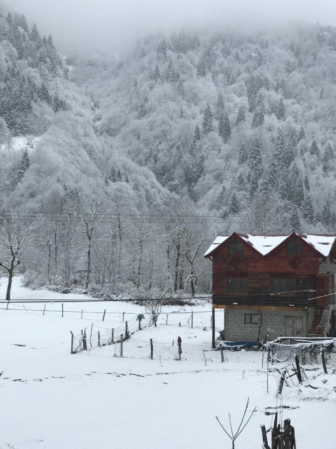 Çamdibi konaklama Rize Dış mekan fotoğraf