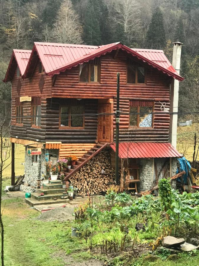 Çamdibi konaklama Rize Dış mekan fotoğraf