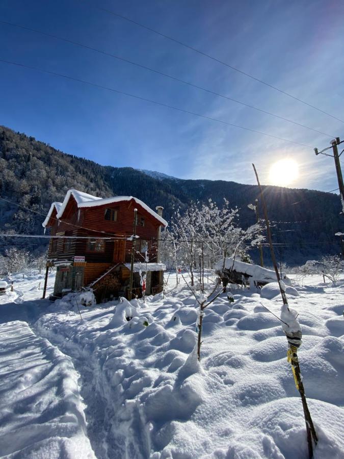 Çamdibi konaklama Rize Dış mekan fotoğraf