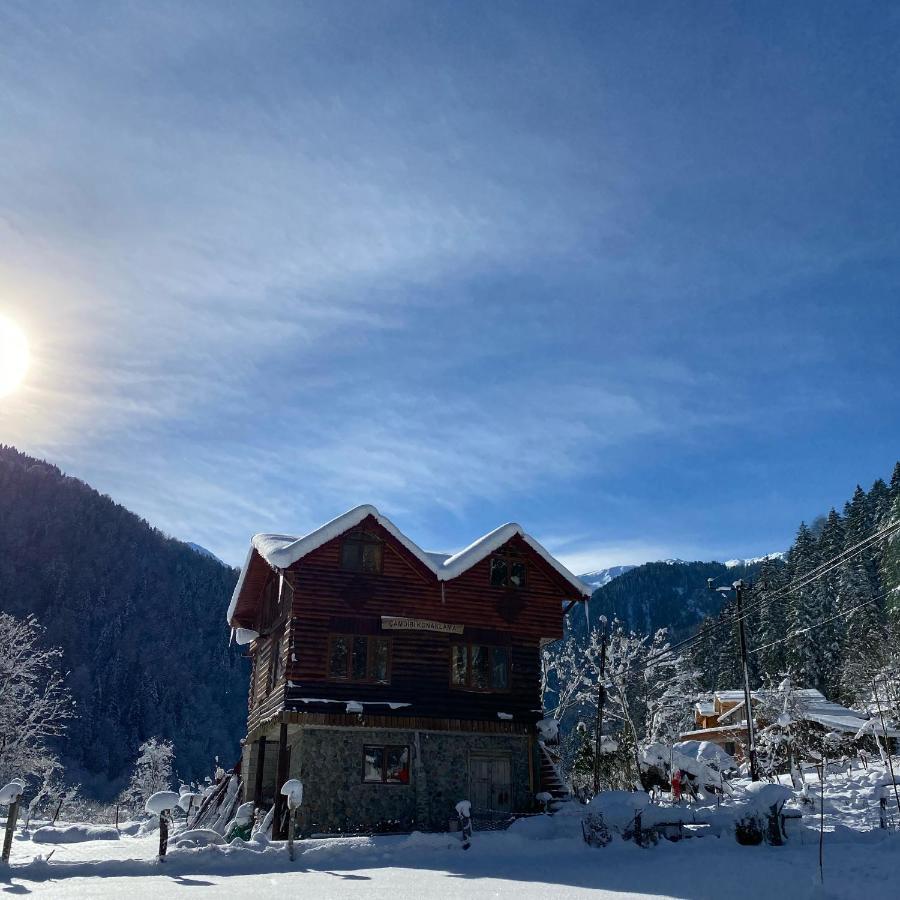 Çamdibi konaklama Rize Dış mekan fotoğraf