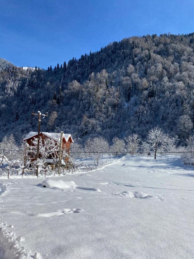 Çamdibi konaklama Rize Dış mekan fotoğraf